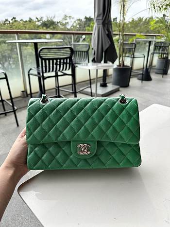 	 Okify Chanel CF Green Caviar Silver Hardware 25cm