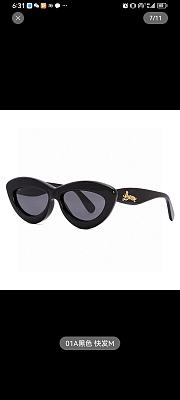 	 Okify Loewe Sunglasses 55 - 5