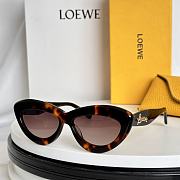 	 Okify Loewe Sunglasses 55 - 2