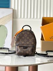 Okify Louis Vuitton Palm Spring Backpack PM 17*22*10 cm M44873 - 1