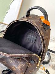 Okify Louis Vuitton Palm Spring Backpack PM 17*22*10 cm M44873 - 2