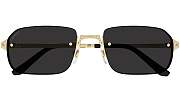 Okify Cartier CT0460S 001 Sunglasses  - 2
