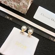 Okify Dior Earrings 19000 - 1