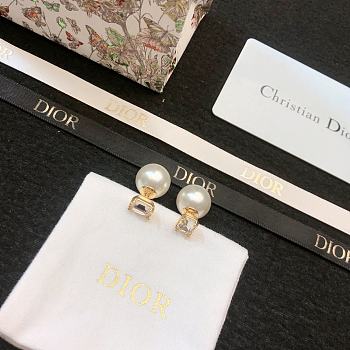 Okify Dior Earrings 19000