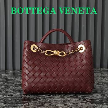 Okify Bottega Veneta Small Andiamo Chain Bag In Red 25x22x10.5cm 