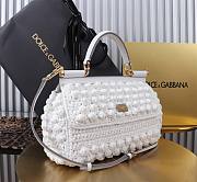 Okify Dolce & Gabbana Raffia Crochet Sicily Bag 25x17x9cm - 2