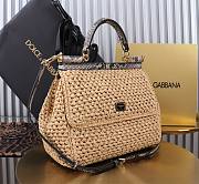 Okify Dolce & Gabbana crochet raffia and python skin sicily bag in beige 25x20x12cm - 5