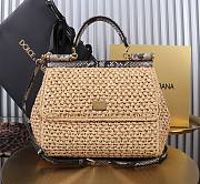 Okify Dolce & Gabbana crochet raffia and python skin sicily bag in beige 25x20x12cm - 1