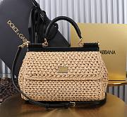 Okify Dolce & Gabbana crochet raffia elongated sicily bag in beige 25x17x9cm - 1