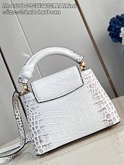 Okify Louis Vuitton Mini Capucines In Crocodile Pattern M48865 21x14x8cm  - 2