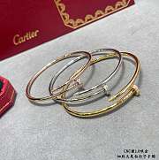 Okify Cartier Gold/Silver/Rose Gold Bracelet 21157 - 5