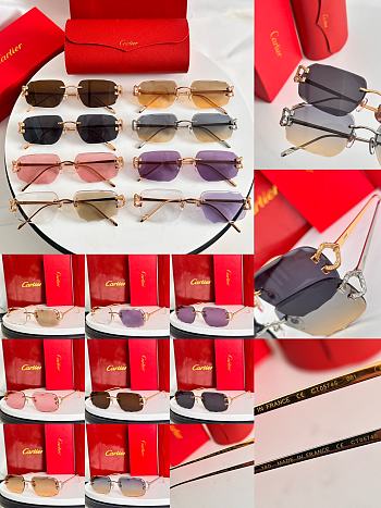 Okify Cartier CT0574S Sunglasses 