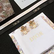 Okify Dior Earrings 23002 - 5