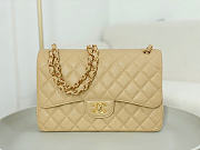 Okify CC Classic Caviar Flap Bag In Beige 30cm  - 1