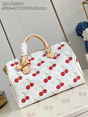 Okify Louis Vuitton x TM Cherry Speedy Soft 30 Bag M14238 17x30x21cm - 2