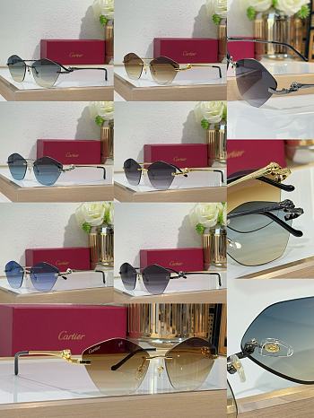 Okify Cartier CT0429S Sunglasses 