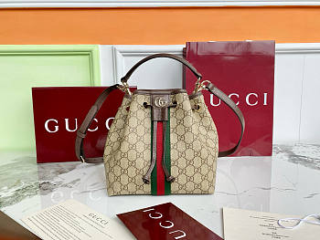 Okify Gucci Ophidia Small Bucket Bag 21.5x21x13cm
