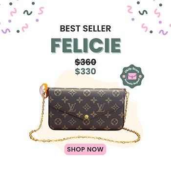 Okify Louis Vuitton Felicie Pochette Brown Monogram 21x12x3cm M81896