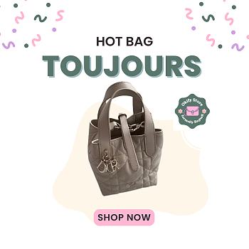 Okify Dior Toujours Vertical Nano Tote Bag In Beige 13x15x12cm