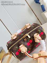 Okify Louis Vuitton x TM Speedy Cherry Bag M13094 13x12x20cm - 3