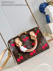 Okify Louis Vuitton x TM Speedy Cherry Bag M13094 13x12x20cm - 2