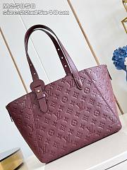 Okify Louis Vuitton All In One PM Bag In Dark Red 40x22x15cm - 6