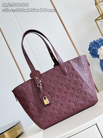 Okify Louis Vuitton All In One PM Bag In Dark Red 40x22x15cm