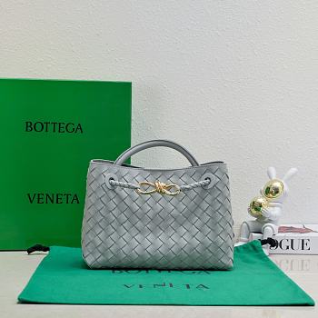 Okify Bottega Veneta Small Andiamo Bag In Light Gray 25x20x10cm