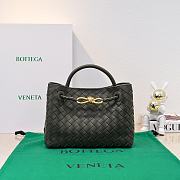 Okify Bottega Veneta Small Andiamo Bag In Dark Olive Green 25x20x10cm - 1