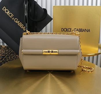 Okify Dolce & Gabbana Marlene Bag In Beige 18x10.6x7cm