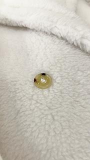 Okify MaxMara Teddy White Long Coat - 2