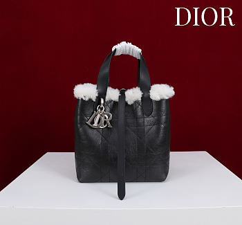 Okify Dior Toujours Vertical Small Tote Bag In Black Calfskin With Fur 18.5x18.5x12cm
