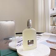 Okify Tom Ford Grey Vetiver Perfume 100ml - 4