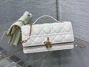 Okify Dior My Dior Mini Bag White 21x11x5cm - 1