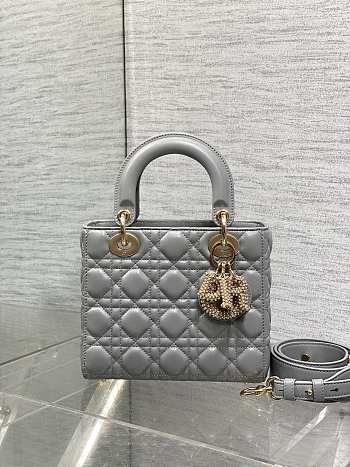 Okify Dior Lady Small Bag Gray Pearls Logo 20cm