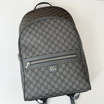 Okify Gucci Ophidia Gray Backpack 44x29.5x15cm 821938