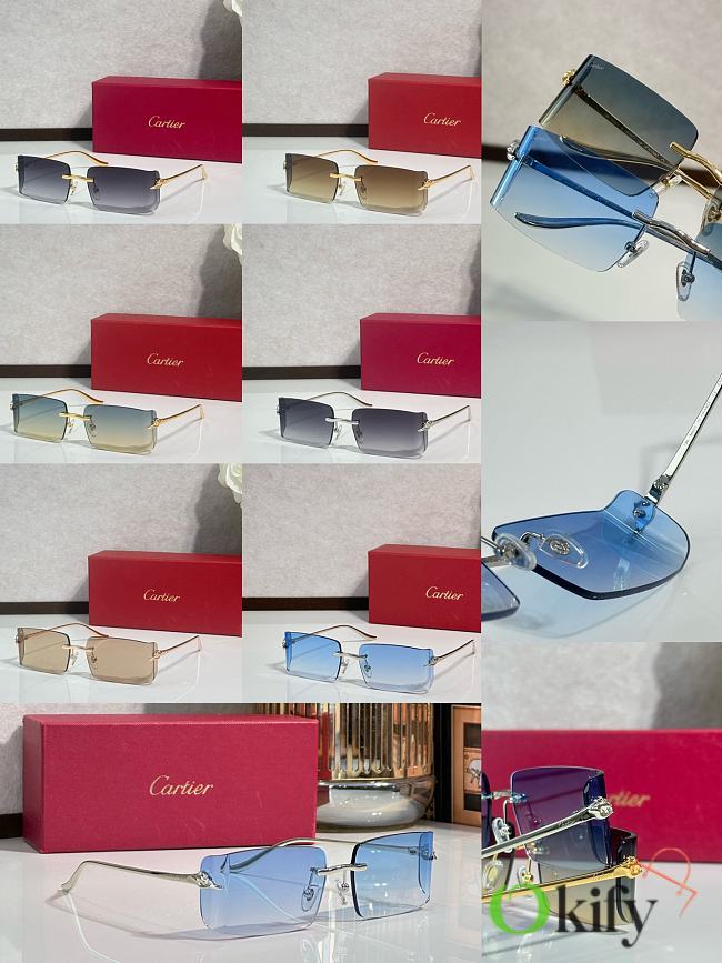Okify Cartier CT02038 Sunglasses - 1