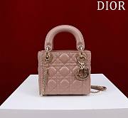 Okify Dior Lady Bag Pink Nude Lambskin Velvet 17x15x7cm  - 1
