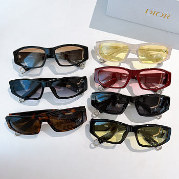 Okify Dior DiorSymbol S1I Sunglasses
