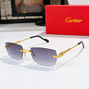Okify Cartier CT0578O Sunglasses - 4