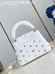 Okify Louis Vuitton x TM Mini Capucines East West Bag White M14165 22x12x8cm - 5