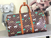 Okify Louis Vuitton x The Darjeeling Limited 2026 Keepall 50 Bag M28166 50x29x23cm - 3