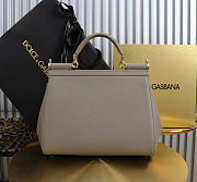 Okify Dolce & Gabbana Sicily Large Bag Gray Calfskin 25x20x12cm - 6