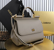 Okify Dolce & Gabbana Sicily Large Bag Gray Calfskin 25x20x12cm - 3