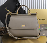 Okify Dolce & Gabbana Sicily Large Bag Gray Calfskin 25x20x12cm - 1