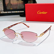 Okify Cartier CT0580S Sunglasses - 6