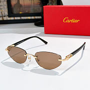 Okify Cartier CT0580S Sunglasses - 5