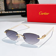 Okify Cartier CT0580S Sunglasses - 3