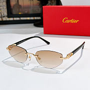 Okify Cartier CT0580S Sunglasses - 2