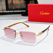 Okify Cartier CT0582S Sunglasses - 5
